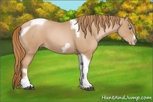 Horse Color:Red Roan Pearl Tobiano Frame