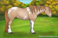 Horse Color:Red Roan Pearl Tobiano Frame