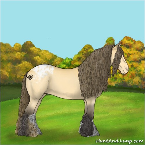 Horse Color:Buckskin Varnish 
