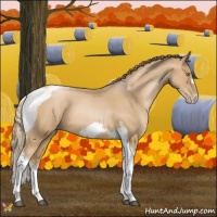 Horse Color:Red Roan Pearl Tobiano Frame 