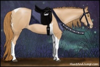 Horse Color:Red Roan Pearl Tobiano