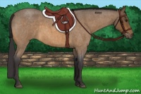 Horse Color:Buckskin Roan 