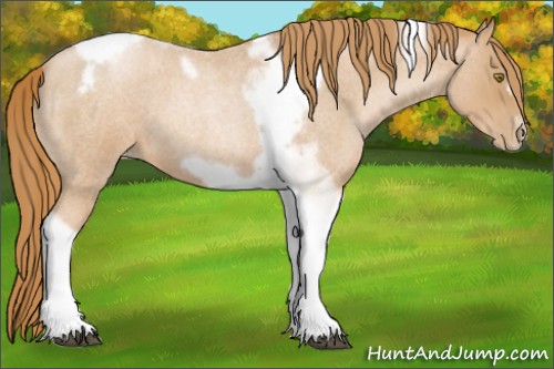 Horse Color:Red Roan Pearl Tobiano Frame 