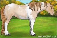 Horse Color:Red Roan Pearl Tobiano Frame 