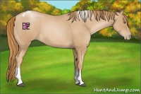 Horse Color:Red Roan Pearl Tobiano Frame 
