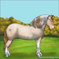 Horse Color:Red Roan Pearl Tobiano Frame 