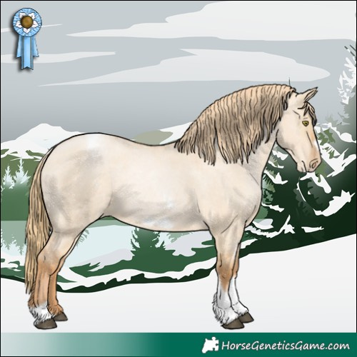 Horse Color:Red Dun Roan Pearl Tobiano Frame 