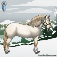 Horse Color:Red Dun Roan Pearl Tobiano Frame