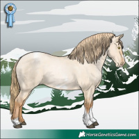 Horse Color:Red Dun Roan Pearl Tobiano Frame