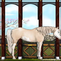 Horse Color:Gold Champagne Pearl Rabicano  and Gold Champagne Pearl Splash Rabicano 