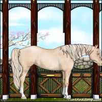 Horse Color:Gold Champagne Pearl Rabicano  and Gold Champagne Pearl Rabicano 