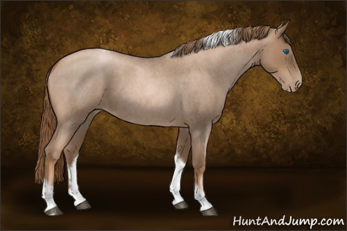 Horse Color:Liver Red Roan Pearl Tobiano Frame 
