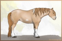 Horse Color:Red Roan Pearl Tobiano Frame 