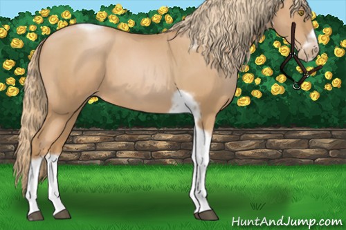 Horse Color:Red Roan Pearl Tobiano Frame