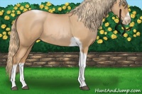 Horse Color:Red Roan Pearl Tobiano Frame 