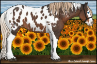 Horse Color:Liver Chestnut Splash Tobiano Appaloosa 