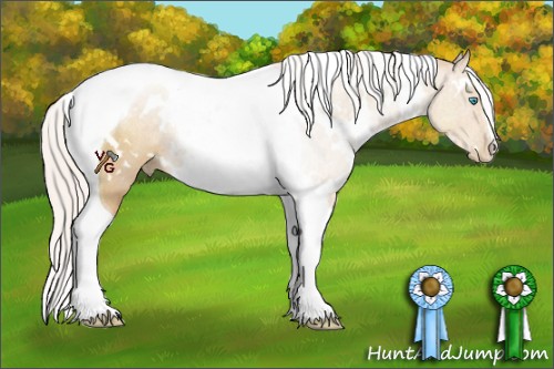 Horse Color:White Spotted Silver Smoky Black Pearl Tobiano Rabicano