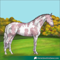 Horse Color:Watercolor White Spotted Silver Smoky Grullo 