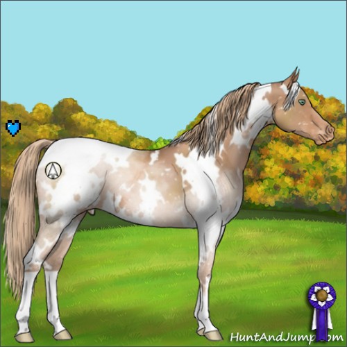 Horse Color:White Spotted Liver Chestnut Pearl Snowcap