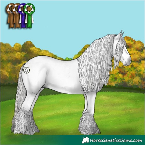 Horse Color:Gray White Spotted Silver Black Ice Sabino