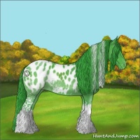 Horse Color:Watercolor White Spotted Black Appaloosa 