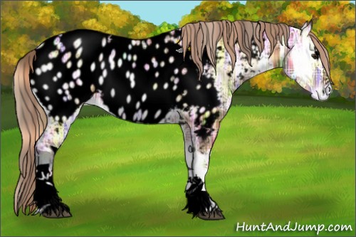 Horse Color:Void Plaid  Red Onyx Ice Sabino Tobiano Appaloosa 
