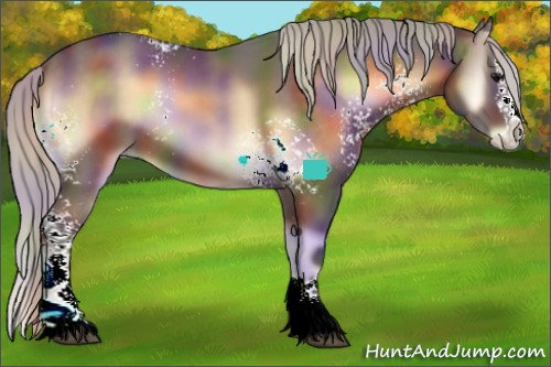 Horse Color:Nacre White Spotted Silver Brown Onyx Sabino Splash 
