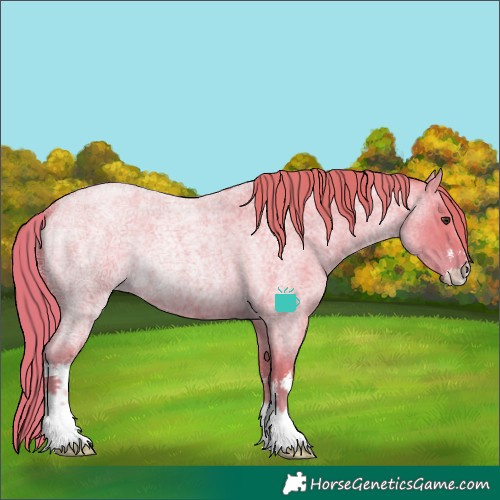 Horse Color:Watercolor White Spotted Red Ice Roan 