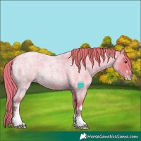 Horse Color:Watercolor White Spotted Red Ice Roan 