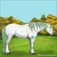Horse Color:Watercolor Black Ice Sabino Appaloosa 