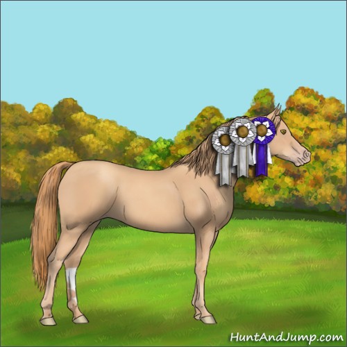 Horse Color:Gold Champagne