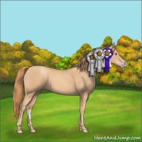 Horse Color:Gold Champagne
