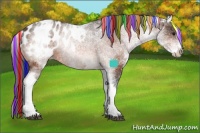 Horse Color:Painted White Spotted Bay Appaloosa Rabicano 
