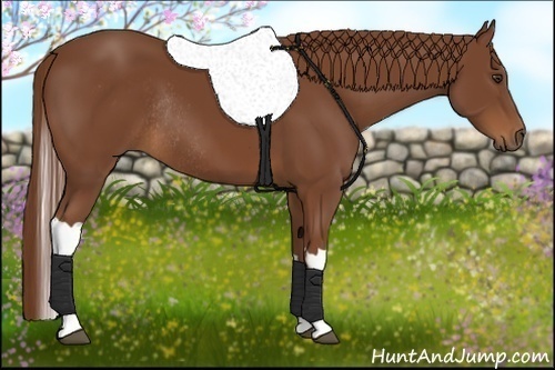 Horse Color:Chestnut Tobiano Rabicano