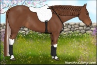 Horse Color:Chestnut Tobiano Rabicano