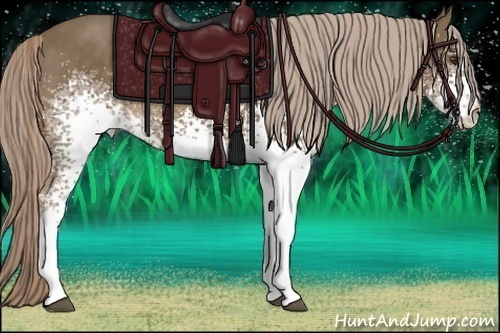 Horse Color:White Spotted Chocolate Palomino Rabicano