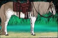 Horse Color:White Spotted Chocolate Palomino Rabicano