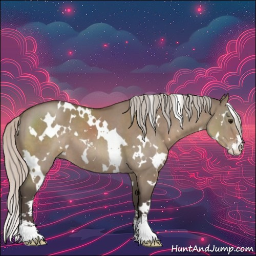 Horse Color:White Spotted Silver Grullo Sabino 