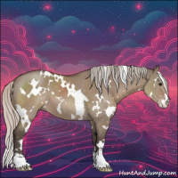 Horse Color:White Spotted Silver Grullo Sabino 