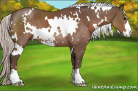 Horse Color:White Spotted Silver Black Sabino 
