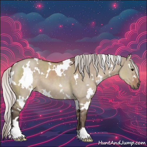 Horse Color:White Spotted Silver Grullo 