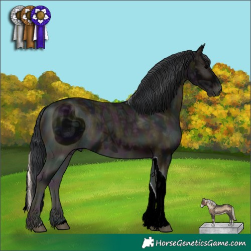 Horse Color:ERROR: UNKNOWN ANOMALY