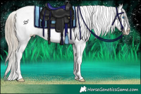 Horse Color:White Spotted Chocolate Palomino Ice Sabino Splash Snowcap 