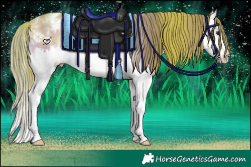 Horse Color:Watercolor White Spotted Liver Chestnut Sabino Splash Appaloosa 