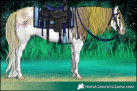 Horse Color:Watercolor White Spotted Liver Chestnut Sabino Splash Appaloosa 