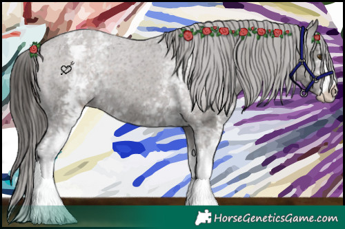 Horse Color:White Spotted Liver Chestnut Appaloosa