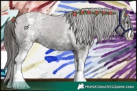 Horse Color:White Spotted Liver Chestnut Appaloosa 