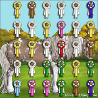 Horse Color:White Spotted Silver Black Sabino 