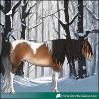 Horse Color:Gray Sable Champagne Tobiano Rabicano