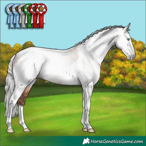Horse Color:Gray Silver Sable Champagne Tobiano Rabicano 